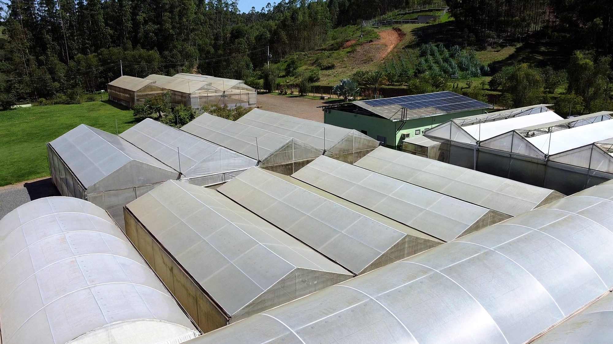 Casas de vegetação da Clonar vistas de cima